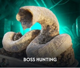 Boss Hunting